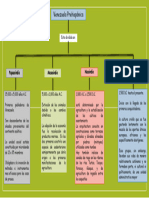 Mapa conceptual venezuela prehispanica