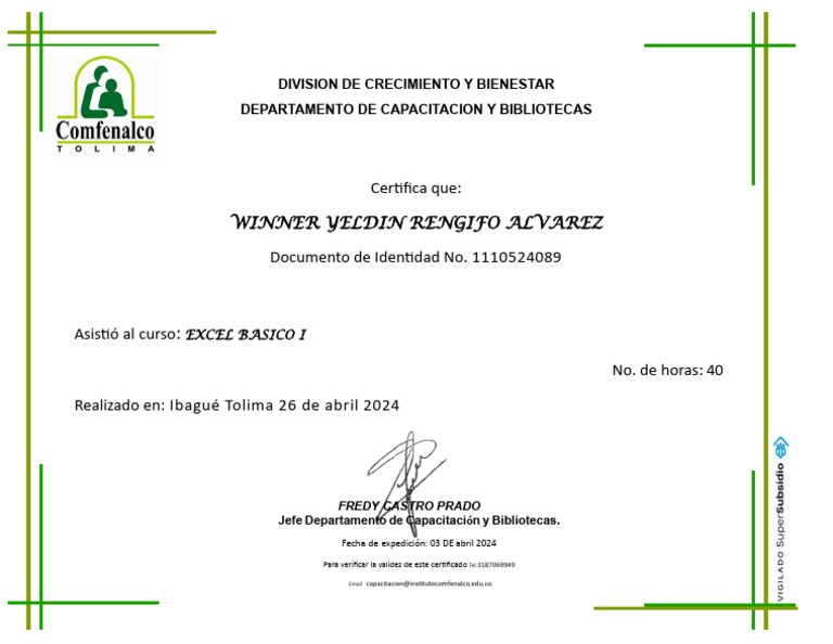 Certificado Curso Excel Básico I | PDF