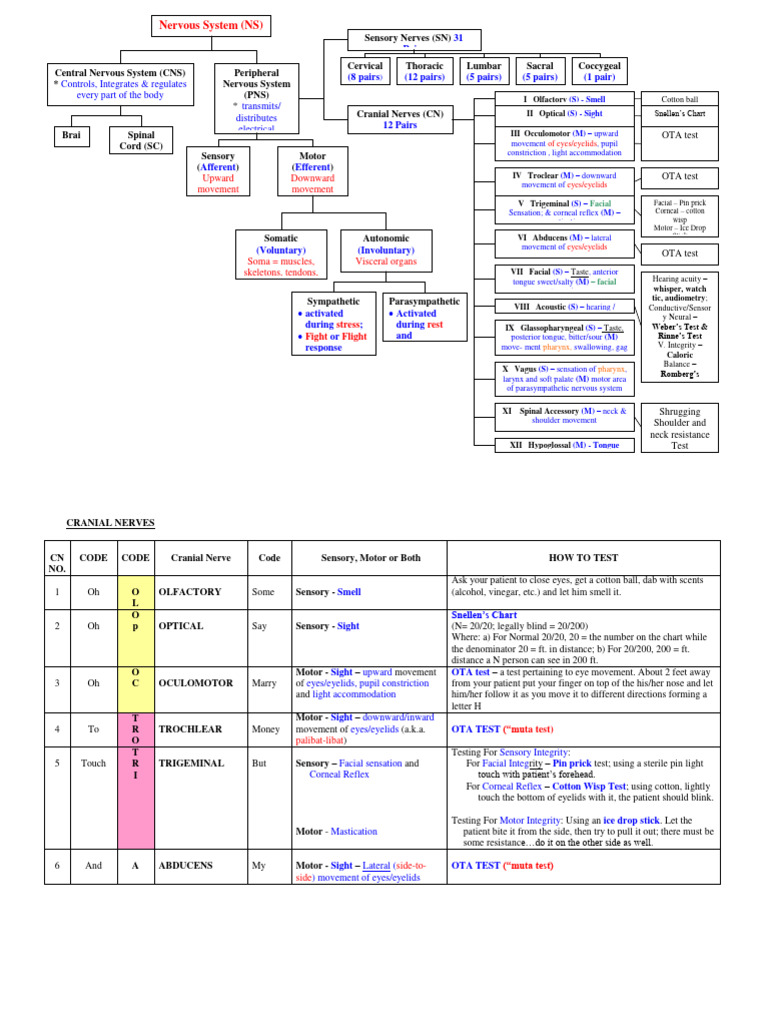Overview of Cranial Nerves and Testing | PDF | Human Head And Neck ...
