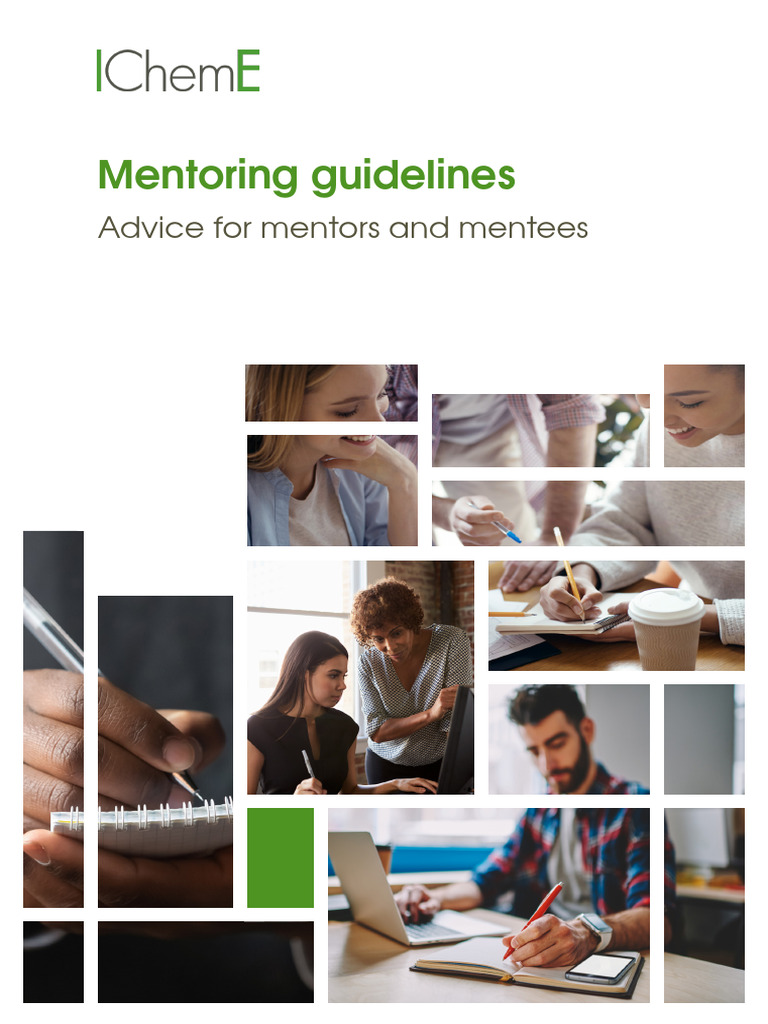 Mentoring Guidelines Pdf Mentorship Chemical Engineering