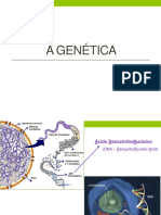 Genetica Hereditariedade