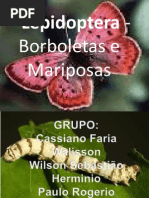 zoologia trapalho mariposa