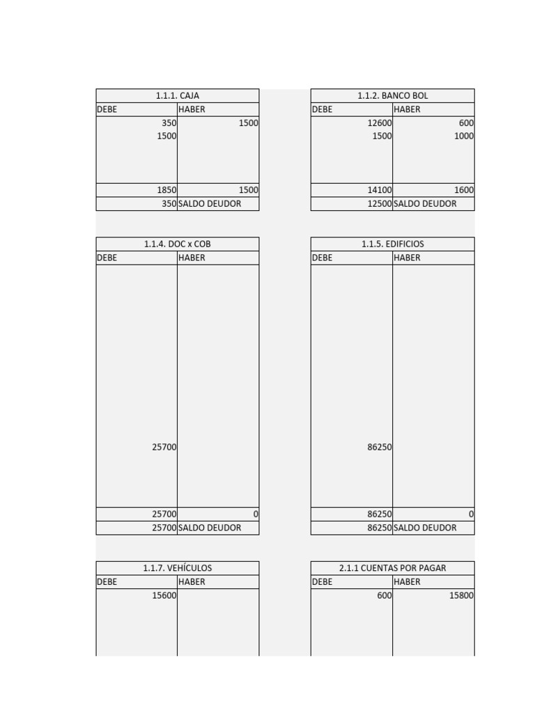 Formatos Contabilidad - para Tareas | PDF | Responsabilidad ...