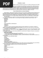 O Espiritismo e a transição