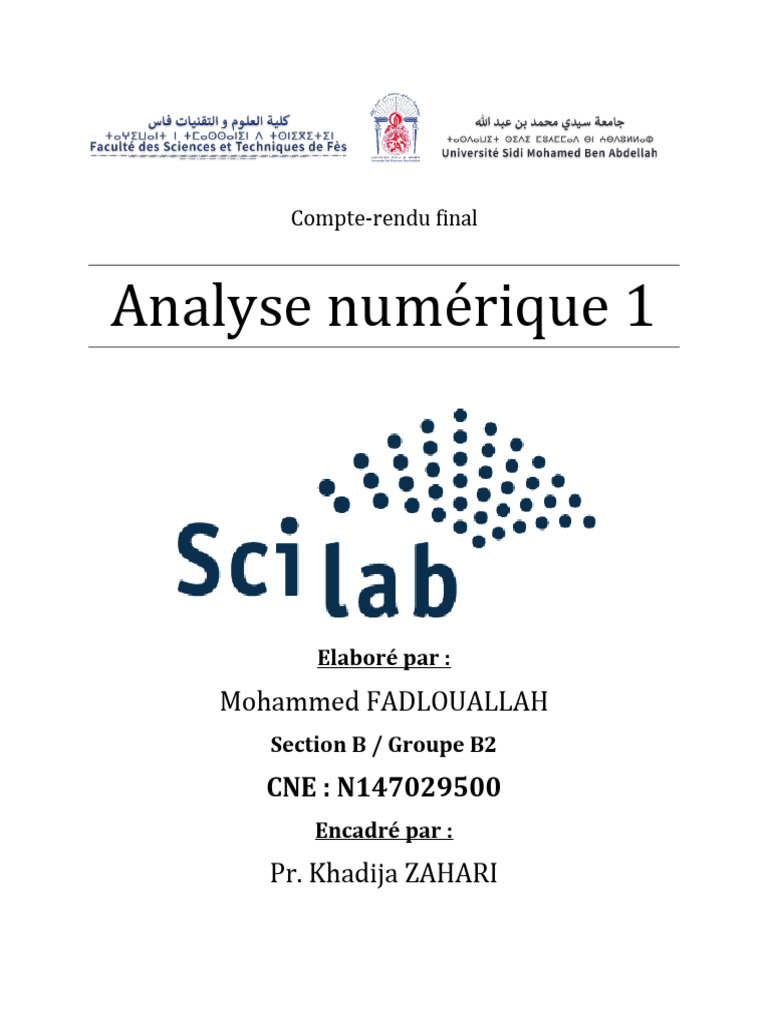Compte-rendu TP final d'analyse numérique | PDF | Mathématiques ...