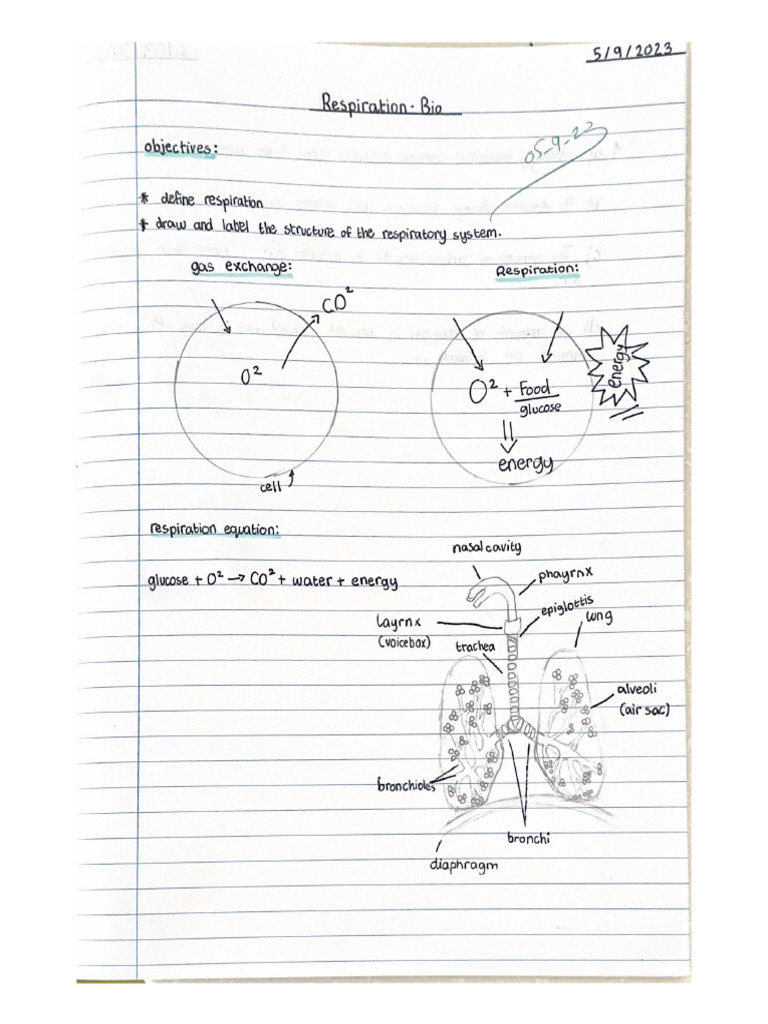 Week 1 copy book pdf
