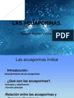 Las Acuaporinas