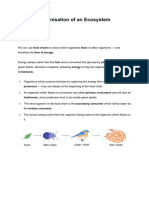 Organisation of An Ecosystem