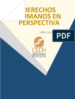 DERECHOS_HUMANOS_EN_PERSPECTIVA