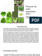 Proyecto de Redes Neuronales 2024