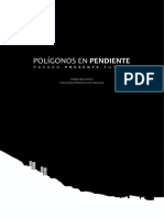 TFM Polígonos en Pendiente. Matías Raúl Falero