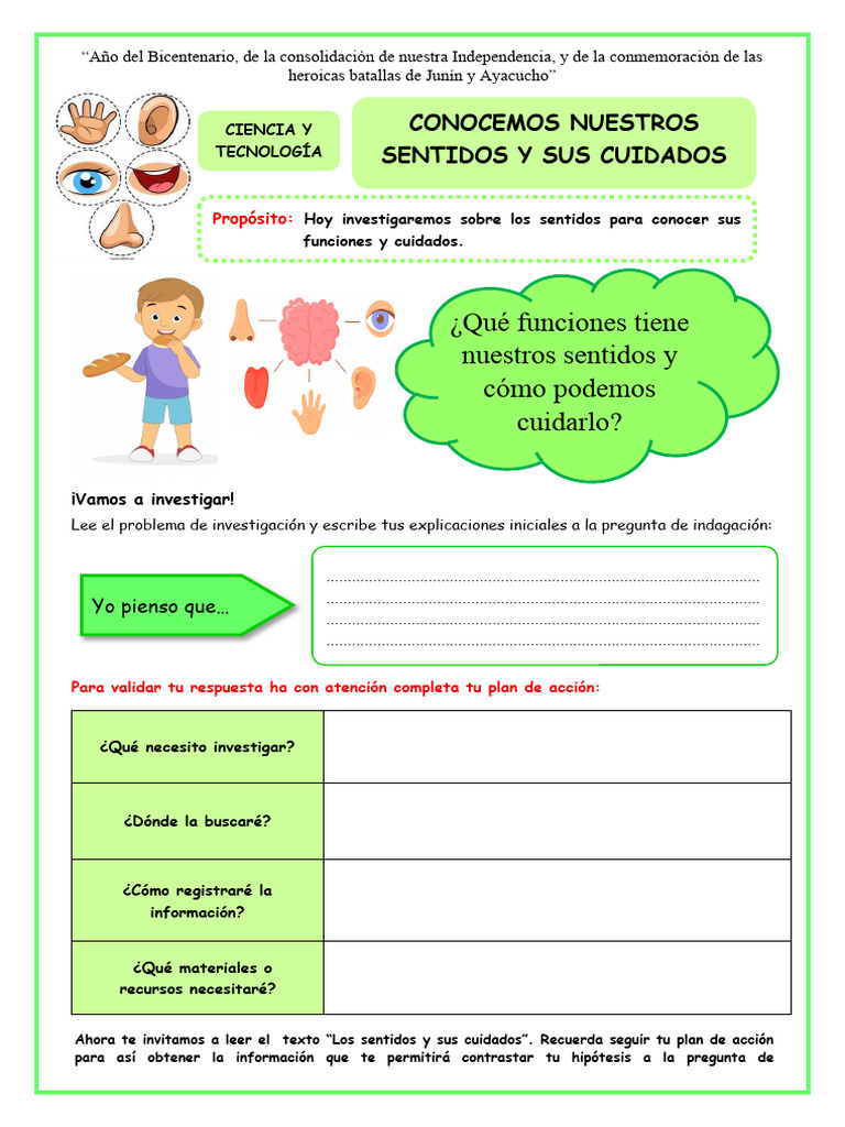 Cuidados y funciones de los sentidos | PDF | Ciencia cognitiva | Science
