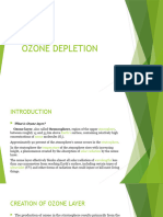 Environmental Studies; Ozone Depletion