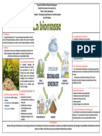 La Biomasse