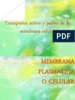 Transportes Activo y Pasivo de La Membrana Celular
