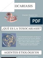 Toxocariasis PPT-1