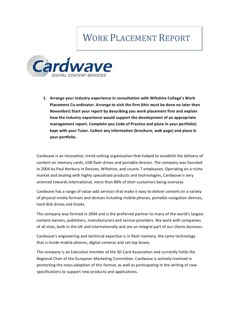 Work Placement Report | PDF | Communication | Business