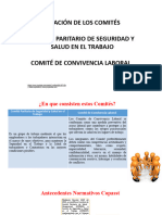 Conformacion Comites