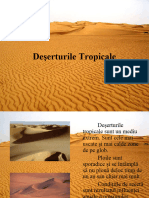 Deserturi Tropicale