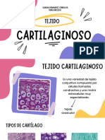 Tejido cartilaginoso