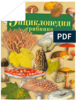 Умельцев А. - Энциклопедия Грибника (2005)