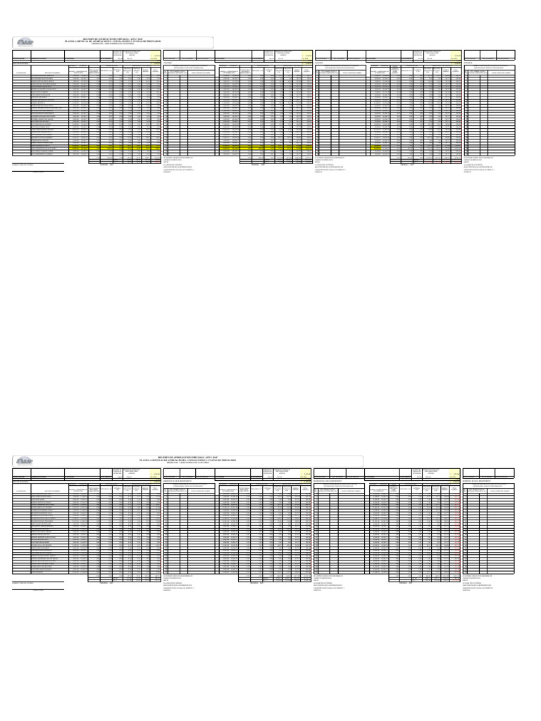 Planilla Mensual AFP-C RAP | PDF