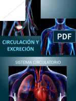 Copia de FUNCIÓN NUTRICIÓN HUMANA CIRCUL Y EXCRE