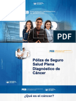 PEB - VIDA GRUPO PLAN EMPRESARIAL (2)