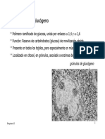 Bioq 2 T7metabolismo Glucogeno