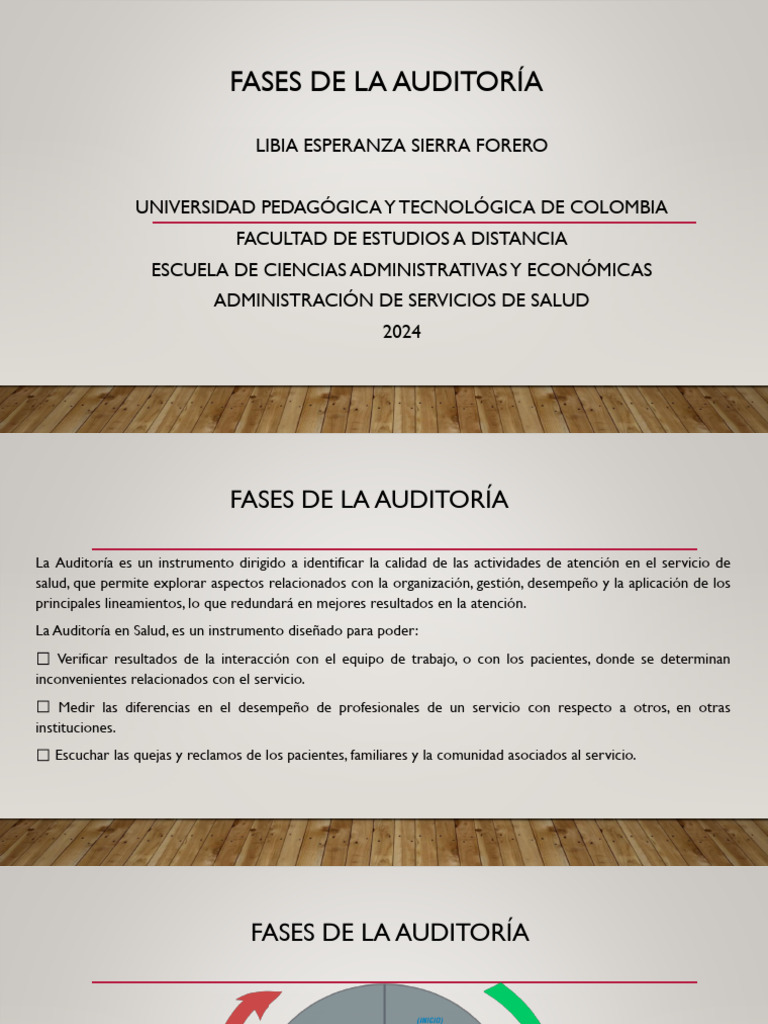 Fases de la Auditoría en Salud | PDF | Auditoría | Planificación