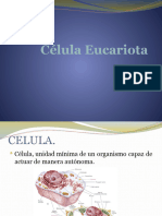 Célula Eucariota