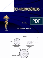 Alteracoes Cromossomicas Numericas Abril 2008