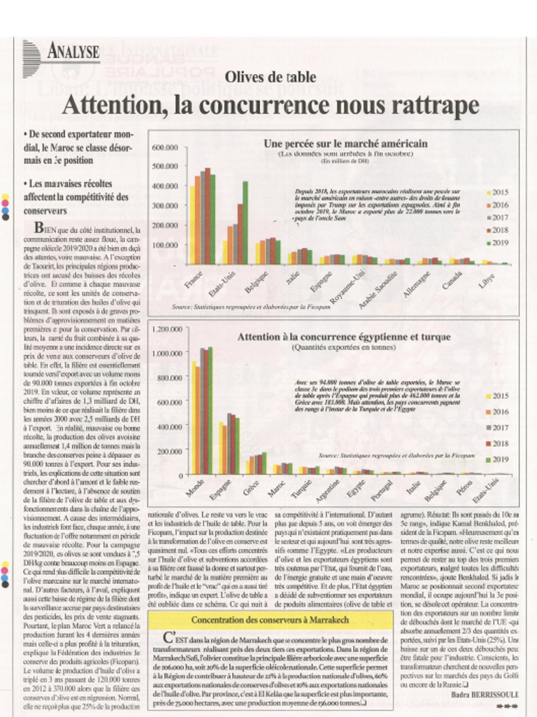 Olives de Tables | PDF