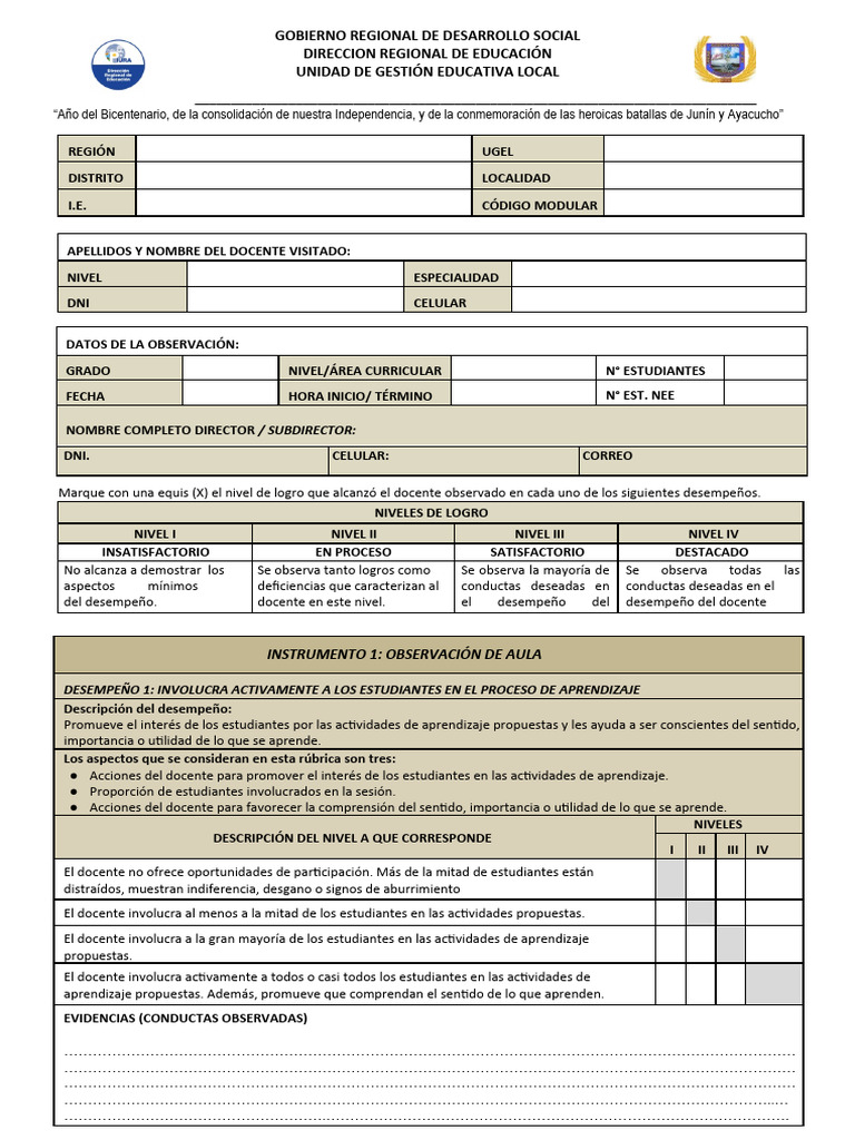Ficha de Monitoreo Docente 2024 | PDF | Evaluación | Creatividad