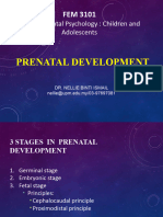 Notes - Week 2 - Prenatal Development