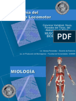 Columna Miologia2021