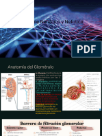 Síndrome Nefrótico y Nefrítico 