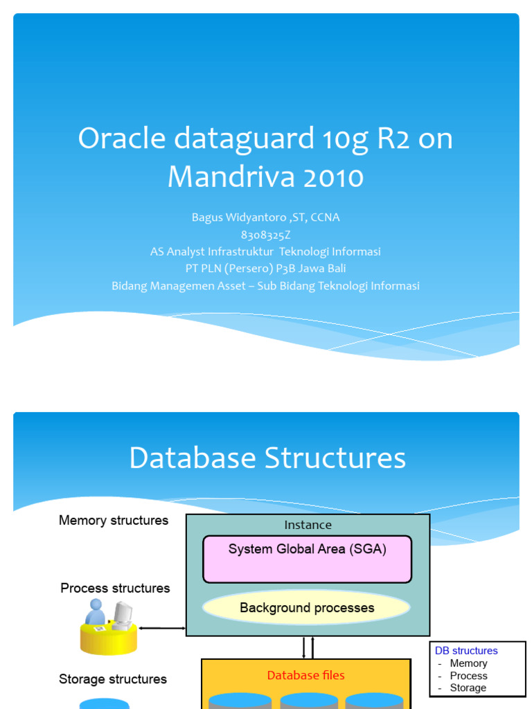 Arsitektur Database Oracle 10g R2 | PDF