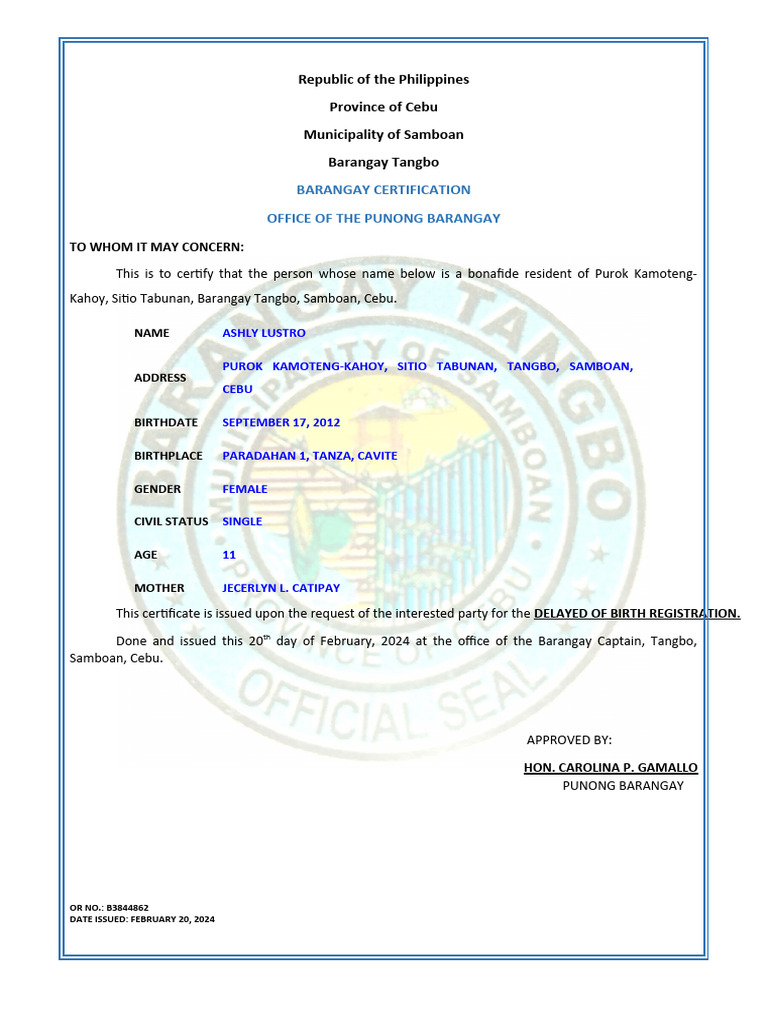 Barangay Certification for Delayed Birth | PDF
