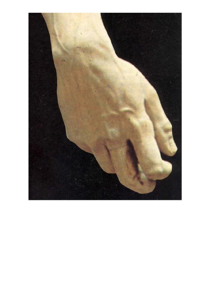Mano de Miguel Angel | PDF