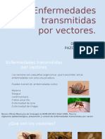 vectores