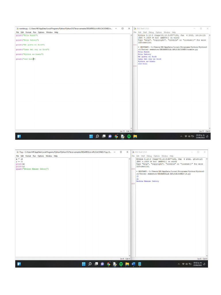 Program As | PDF
