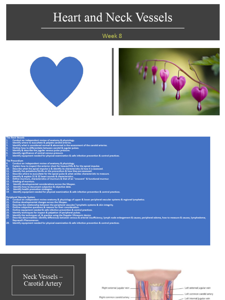 Heart And Neck Vessels Pdf Heart Heart Valve