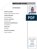 Curriculum Vitae