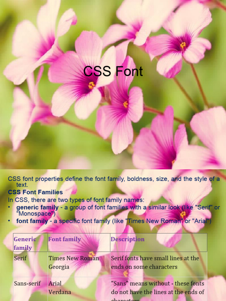 Css Font Types
