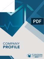 NEW Company Profile MCS_Domestic_1