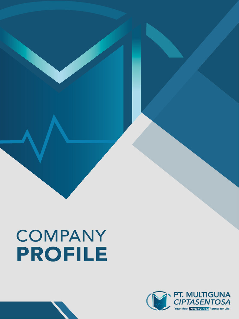 NEW Company Profile MCS - Domestic - 1 | PDF