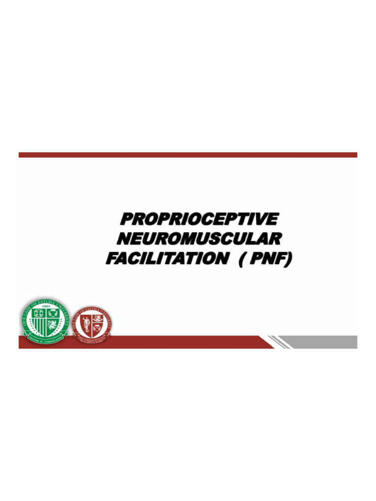 PNF PDF | PDF