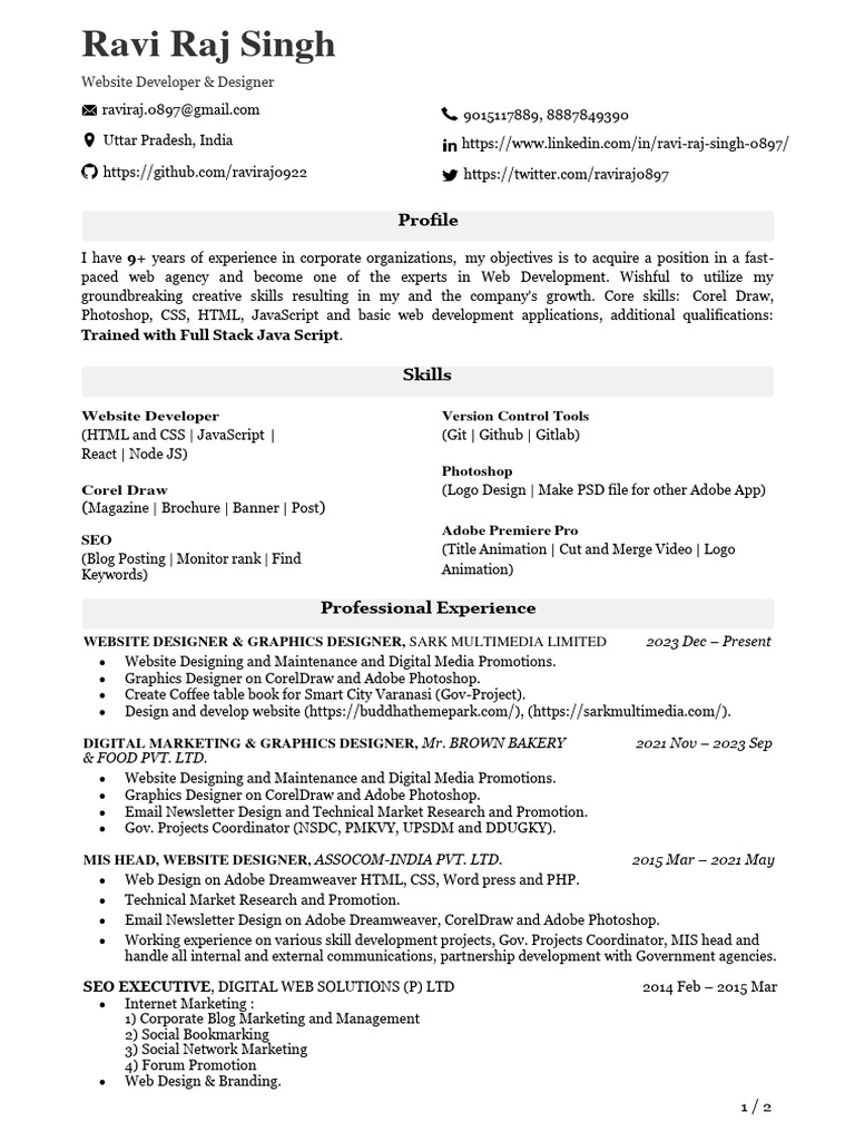 Ravi Raj CV | Download Free PDF | Websites | Adobe Photoshop