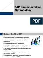 ERP_SAP_Implementation-1214825612078403-9